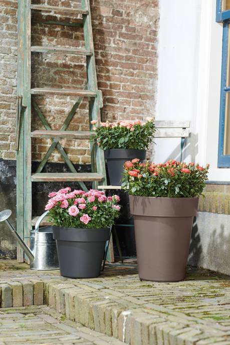 green basics top planter high 35cm taupe